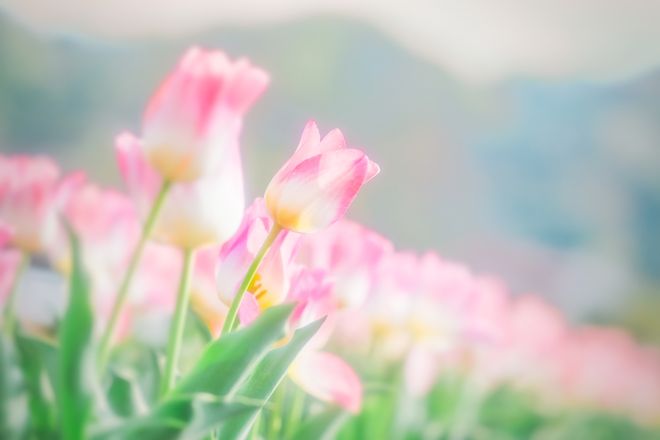 迎来人生转折点：有钱又顺遂成最大赢家凯发K8国际版51期间这三个生肖将(图2)